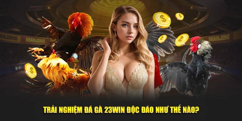 Trải nghiệm đá gà 23WIN độc đáo như thế nào